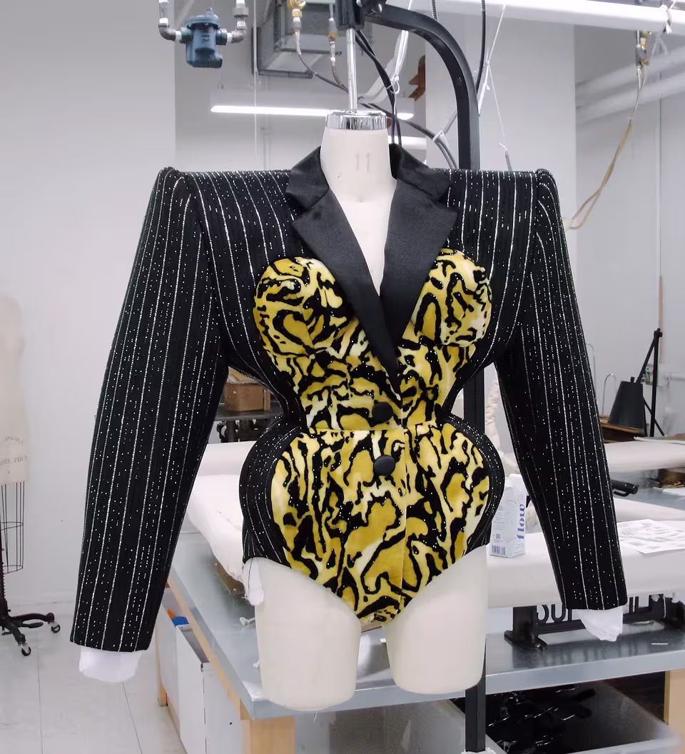 Doja Cat's outfit 