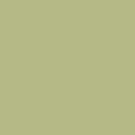 CANCELLED - METALLIC GREEN 