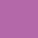 LAST WORD - VIBRANT LILAC 