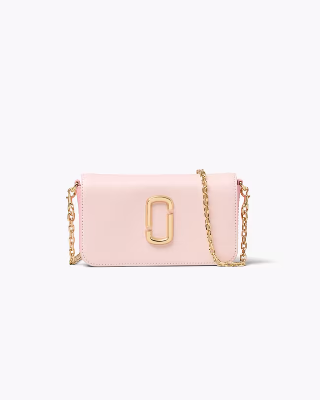 The Snapshot Wallet On Chain