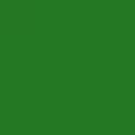 KIWI MULTI