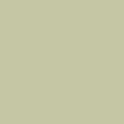 PISTACHIO MULTI