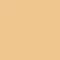 NO COLOR
