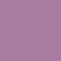 REGAL ORCHID MULTI